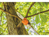 STIHL HT-KM Pole Pruner (41822000070 - 12 Attachment)