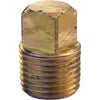 Lasco 1/8 In. MPT Brass Square Head Plug