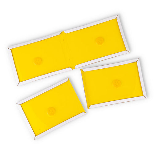 JT Eaton™ STICK-EM™ Mini Mighty Glue Boards For Mice & Insects