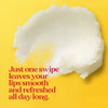 Burt's Bees Vanilla Bean Lip Balm