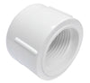 IPEX PVC Sch 40 Cap